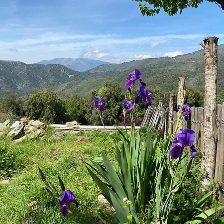 Authentique Maison De Village De Gavignano