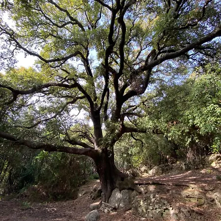Authentique Maison De Village De Σπίτι διακοπών *