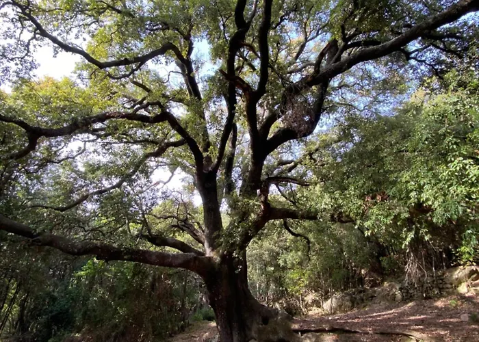 Authentique Maison De Village De Hébergement de vacances *