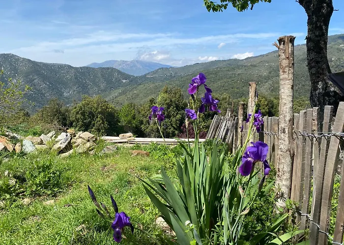 Authentique Maison De Village De Gavignano